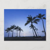 ハワイ・コナのカハルーベイに沈む夕日 ポストカード (正面)