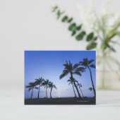 ハワイ・コナのカハルーベイに沈む夕日 ポストカード (スタンド正面)