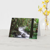 ハワイ・ザ・ビッグ・アイランド カード (黄色い花)