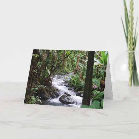 ハワイ・ザ・ビッグ・アイランド カード (正面)