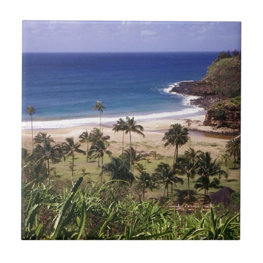 ハワイ タイル (正面)