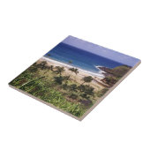 ハワイ タイル (側面)