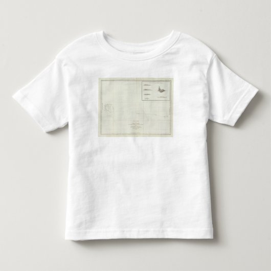 ハワイ トドラーTシャツ (正面)