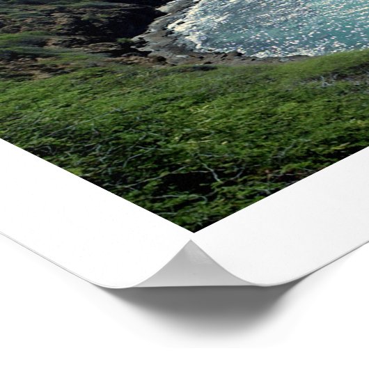 ハワイ・ハナウマ湾のPixDezines daylight ポスター (角)