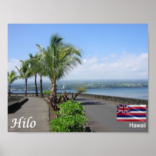 ハワイ – ヒロ –  ポスター (正面)