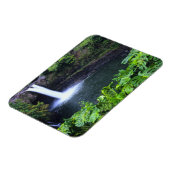 ハワイ，ビッグアイランド，ヒロ，レインボー秋，ラッシュ マグネット (左側)