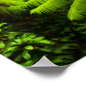 ハワイ、ビッグ島、緑豊かな熱帯の緑 ポスター (角)