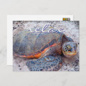 ハワイ ホヌ ウミガメのクローズアップ写真 リラックス名言 ポストカード (正面/裏面)