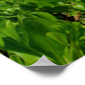 ハワイ,ホノルル,ダイヤモンドヘッド ポスター (角)