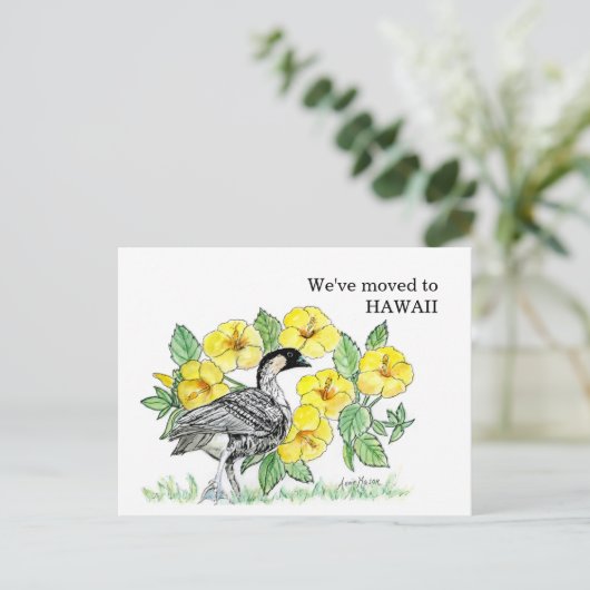 ハワイ ポストカード (スタンド正面)