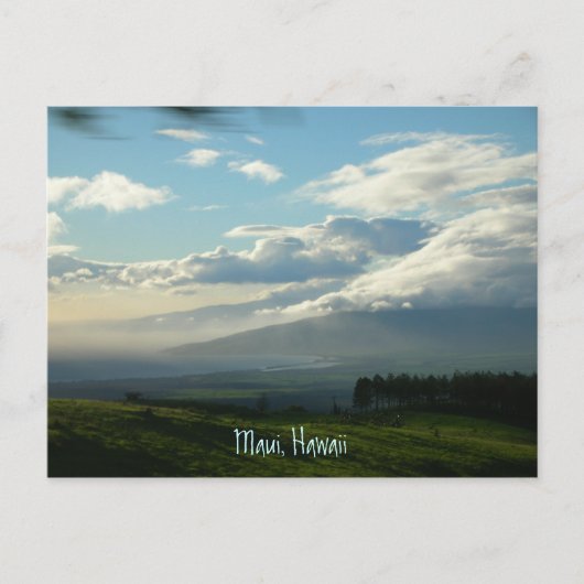 ハワイ,マウイ ポストカード (正面)