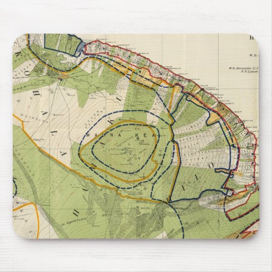 ハワイ マウスパッド (正面)