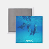 ハワイ マグネット (正面/裏面)