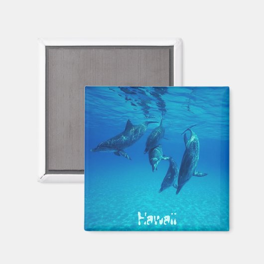ハワイ マグネット (正面/裏面)