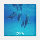 ハワイ マグネット (正面)