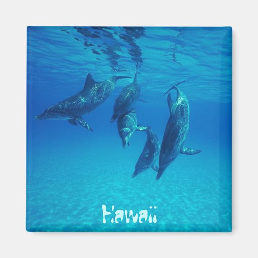 ハワイ マグネット (正面)