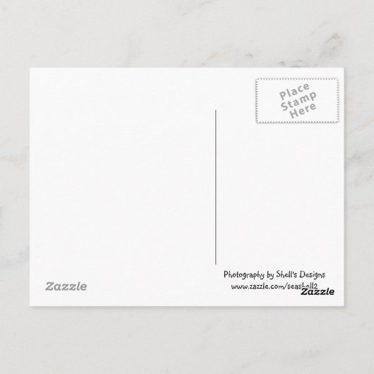 ハワイ，噴出角カウアイ ポストカード (裏面)