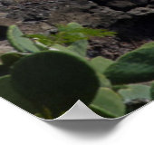 ハワイ，沿岸灯台 ポスター (角)