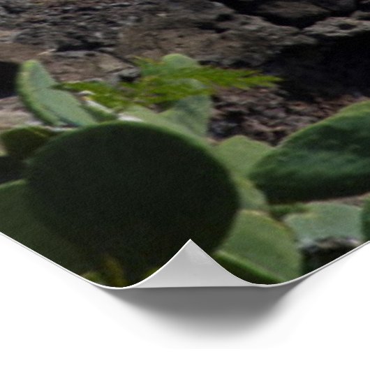 ハワイ，沿岸灯台 ポスター (角)