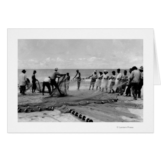 ハワイ – 海岸のフキラウの網の眺め (正面横)