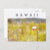 ハワイ 熱帯ラン 火山国立公園 ポストカード (正面/裏面)