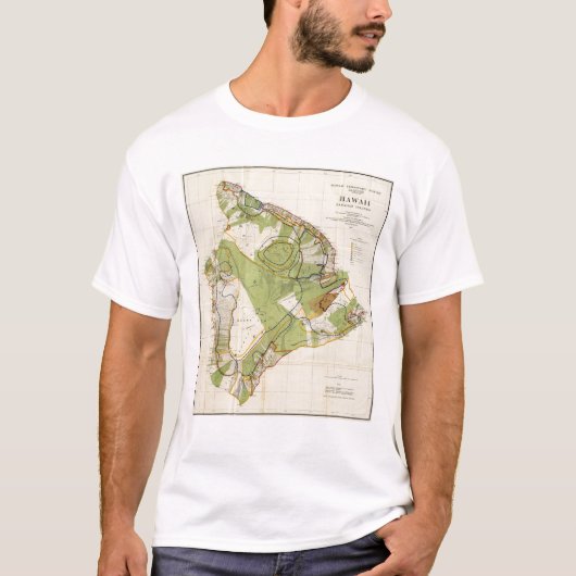 ハワイ Tシャツ (正面)