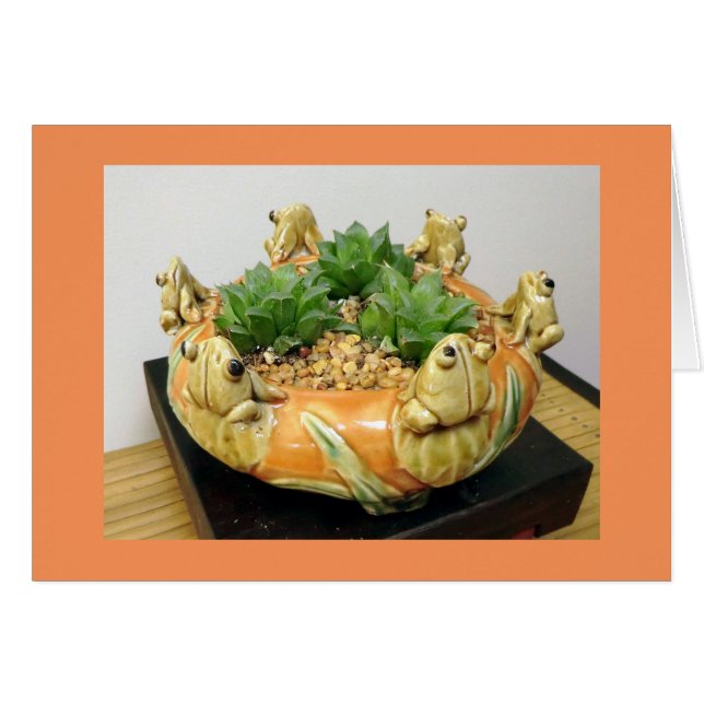 ハワーシアとカエルの吸汁性デザイン (正面横)