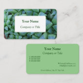 ハワーシア多肉植物の名刺 名刺 (正面/裏面)