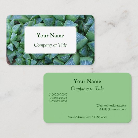 ハワーシア多肉植物の名刺 名刺 (正面/裏面)