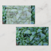 ハワーシア多肉植物の名刺 名刺 (正面/裏面)