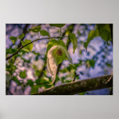 ハンカチ ポスター (正面)