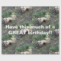 ハンガおもしろいリーのビ転がズラの包装紙