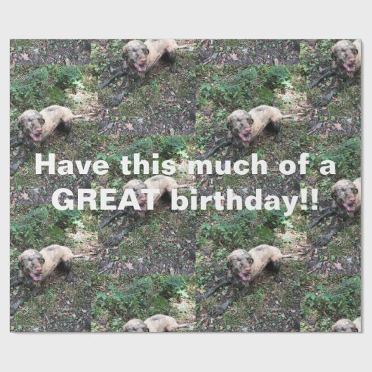 ハンガおもしろいリーのビ転がズラの包装紙 ラッピングペーパー (フラット)