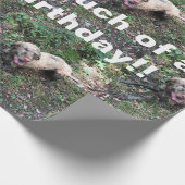 ハンガおもしろいリーのビ転がズラの包装紙 ラッピングペーパー (角)