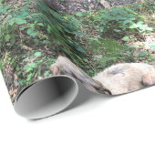 ハンガおもしろいリーのビ転がズラの包装紙 ラッピングペーパー (ロールコーナー)