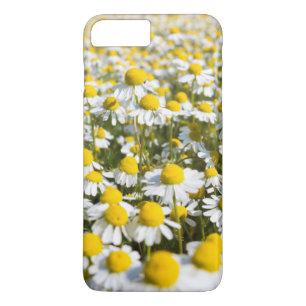 ハンガリーのカモミールのクローズアップ iPhone 8 PLUS/7 PLUSケース