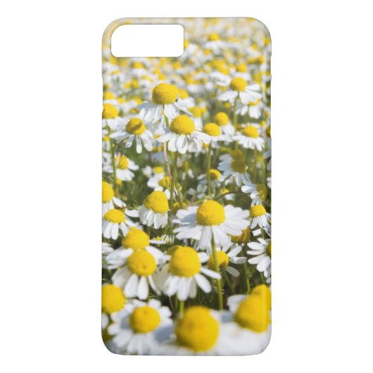 ハンガリーのカモミールのクローズアップ Case-Mate iPhoneケース (裏面)