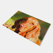 ハンガリーのヴィスラ。 ドアマット (アングル)