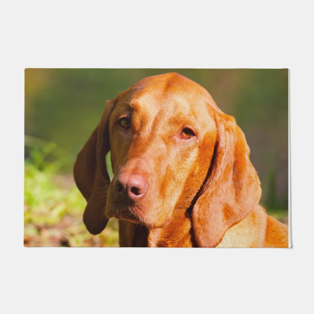 ハンガリーのヴィスラ。 ドアマット (正面)