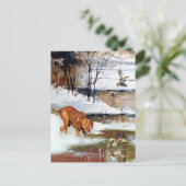 ハンガリーのヴィツラの多才な貴族 シーズンポストカード (スタンド正面)