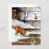 ハンガリーのヴィツラの多才な貴族 シーズンポストカード (正面/裏面)