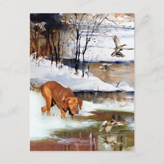 ハンガリーのヴィツラの多才な貴族 シーズンポストカード (正面)