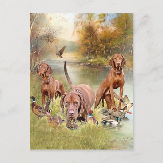 ハンガリーのヴィツラの多才な貴族 ポストカード (正面)