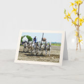 ハンガリーの乗馬 カード (黄色い花)