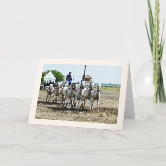 ハンガリーの乗馬 カード (正面)