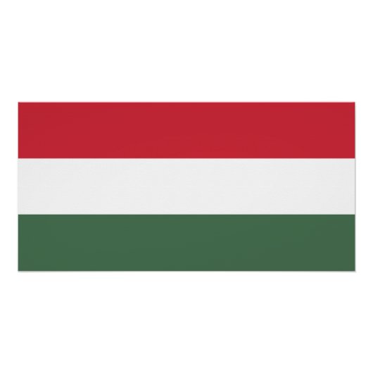 ハンガリーの国旗 ポスター (正面)