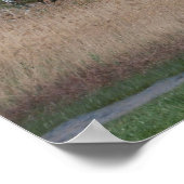 ハンガリーの田舎 ポスター (角)