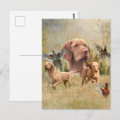 ハンガリーの金髪ヴィツラ ポストカード (正面/裏面)