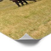 ハンガリーの騎兵と馬 ポスター (角)