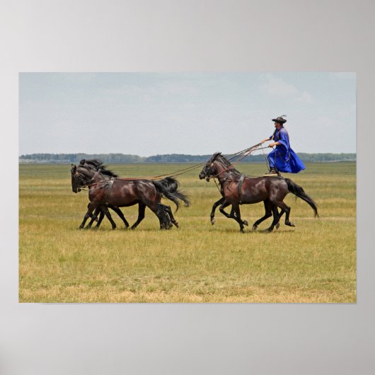 ハンガリーの騎兵と馬 ポスター (正面)